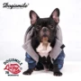 Dogismile chó bốn chân quần áo thú cưng quần áo mùa thu và mùa đông chó quần áo sản phẩm mới lạnh và ấm - Quần áo & phụ kiện thú cưng áo cho chó poodle