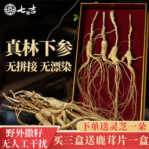 林下山参可泡酒煲汤买三送鹿茸片