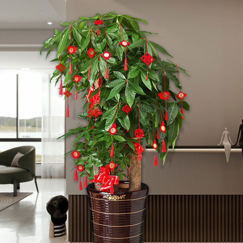 乔迁之喜装饰小红灯笼挂件盆景福字客厅发财树上新居入宅布置用品,节庆用品/礼品,挂饰/生肖挂饰,淘宝优惠券,粉丝福利购,淘宝优惠卷