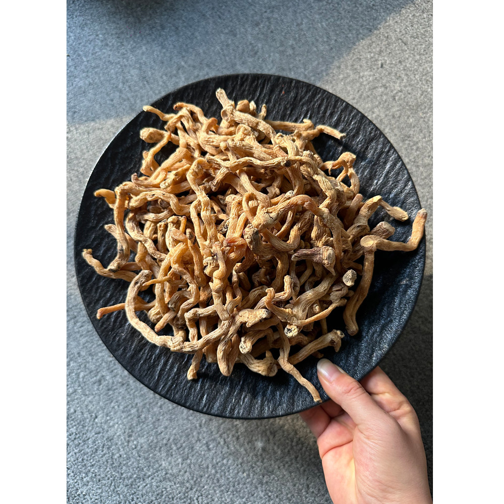 深山自然生长野生玉竹干货
