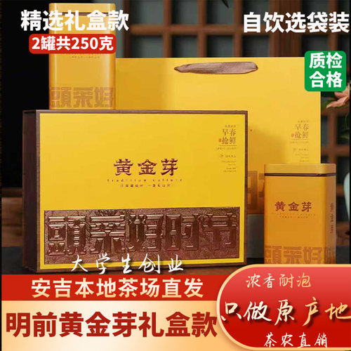 【过节送礼】安吉黄金芽250g礼盒