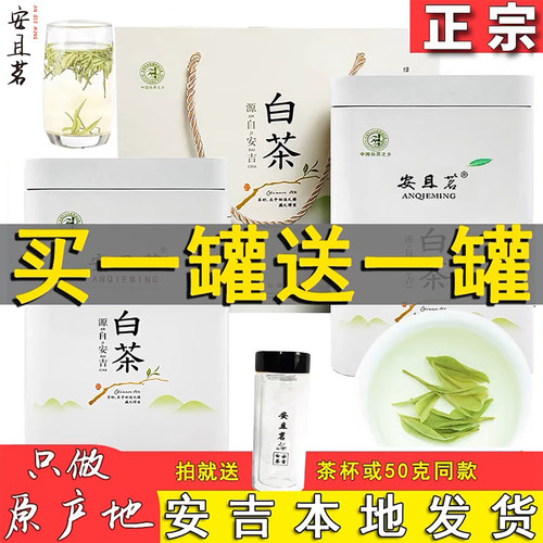 正宗2025安且茗安吉白茶特级罐装