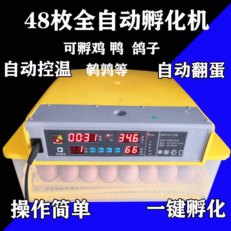 孵化机小型孵蛋器抱蛋机全自动