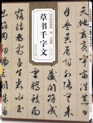 历代碑帖精粹·隋智永真草千字文 9787539849478 安徽美术出版社属于什么档次？