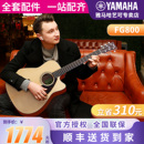 雅马哈吉他FG800民谣单板木吉它FGX800C电箱琴男女学生41 40英寸