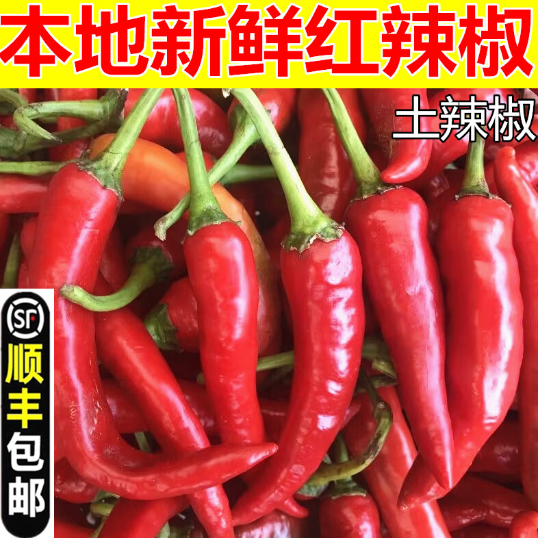 顺丰包邮 自种本地新鲜土辣椒红辣椒红土辣椒红 尖椒做酱剁椒10斤