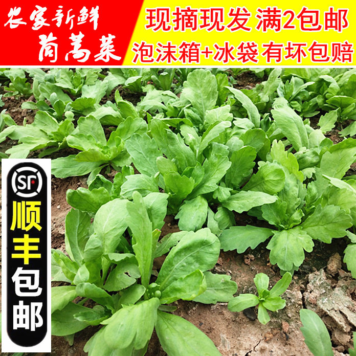 【顺丰包邮】农家自种大叶茼蒿蓬蒿菜新鲜蔬菜蒿子菜现摘现发火锅,水产肉类/新鲜蔬果/熟食,叶菜类,淘宝优惠券,粉丝福利购,淘宝优惠卷