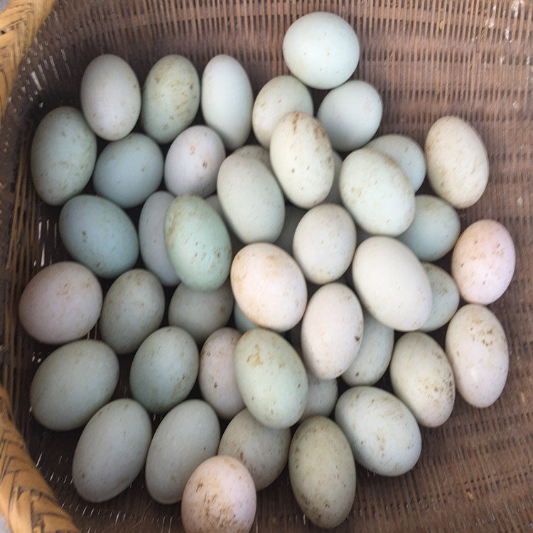 富硒新鲜鸭蛋 农家散养土鸭蛋 生鸭蛋生态麻鸭蛋绿鸭蛋30枚包邮