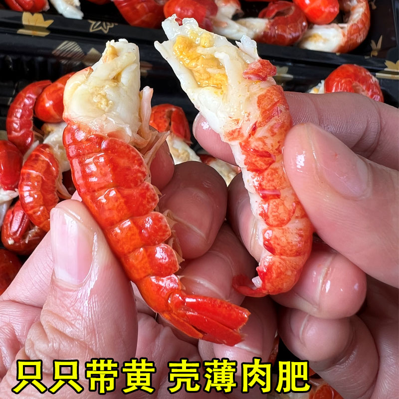龙虾尾冷冻生鲜无冰衣大号单冻麻辣鲜活批商用发整箱小虾球
