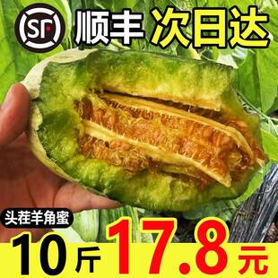 包邮 正宗山东羊角蜜甜瓜新鲜水果玉菇蜜瓜博洋羊角脆5斤10斤整箱