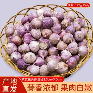 2023年干蒜云南紫皮独头蒜新干蒜大理紫独蒜大蒜中果独蒜红皮蒜头