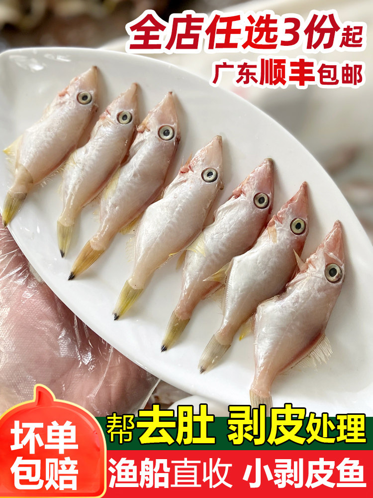 耗儿鱼小扒皮鱼海鲜水产冰鲜活冷冻生鲜食材马面新鲜深海鱼剥皮牛