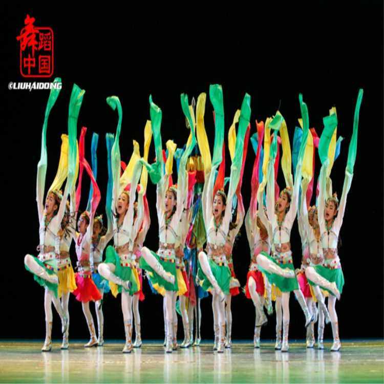 正品第八届小荷风采隆达梅朵演出服六一儿童藏族舞蹈民族表演服饰