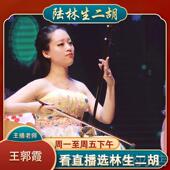 正品 陆林生二胡珍藏厂版 血紫檀考专业奏级独奏型成人通用乐器演家