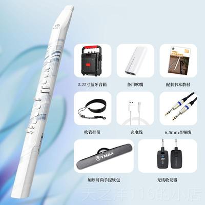 正品2024新汤玛士T51款管00电子吹乐器大全葫芦丝人初学笛子萨老