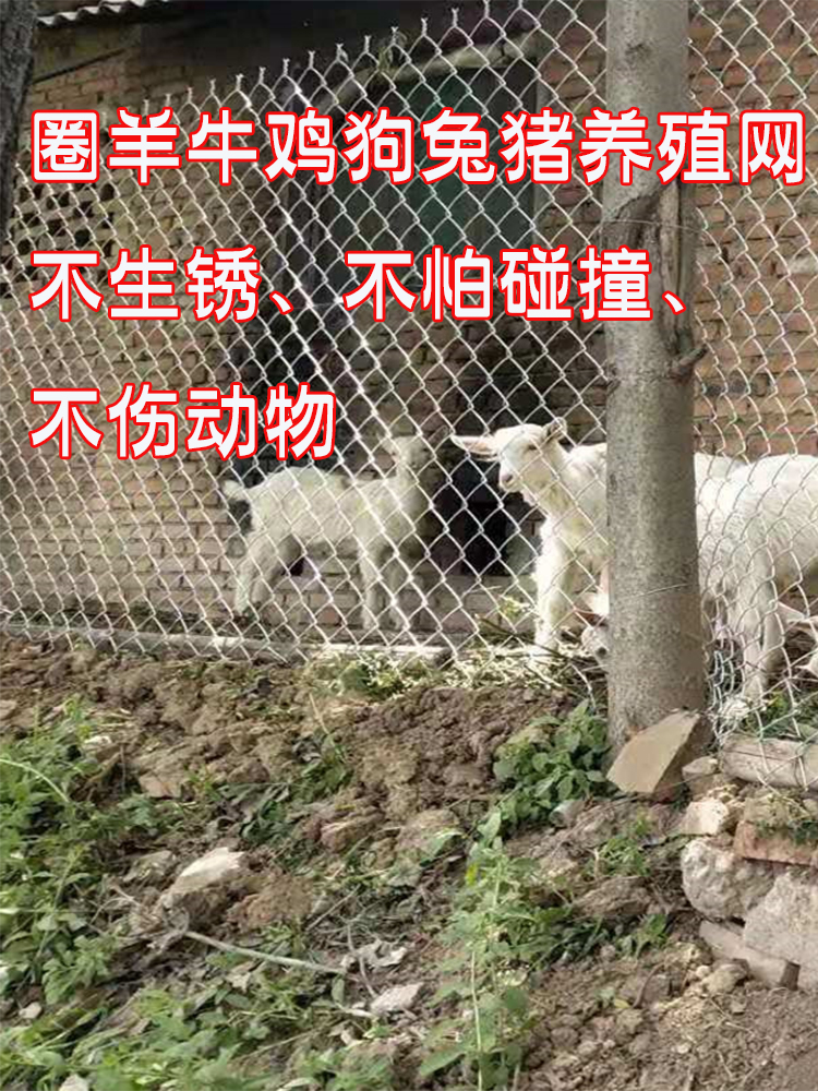 养殖勾花钢丝网围栏圈猪牛羊狗镀锌菱形网喷浆挂网植草护坡铁丝网