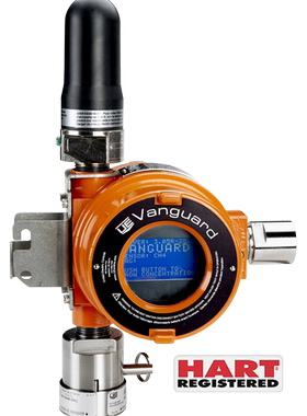 Vanguard WirelessHART®气体检测仪