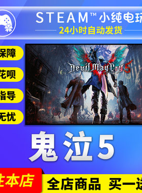 steam正版鬼泣5维吉尔国区礼物