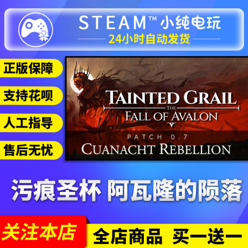 Steam正版污痕圣杯阿瓦隆的陨落