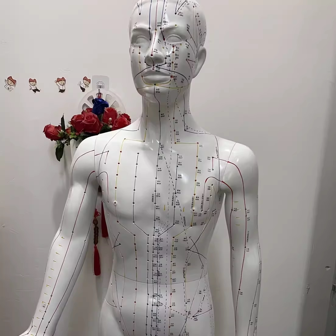 MDCD海医170CM人体针灸穴位模型针灸铜模型经络穴位模型盲人针灸