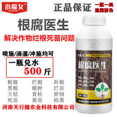 根腐医生青枯萎草莓红中柱根腐恶霉灵软腐生根壮苗专微生物菌剂