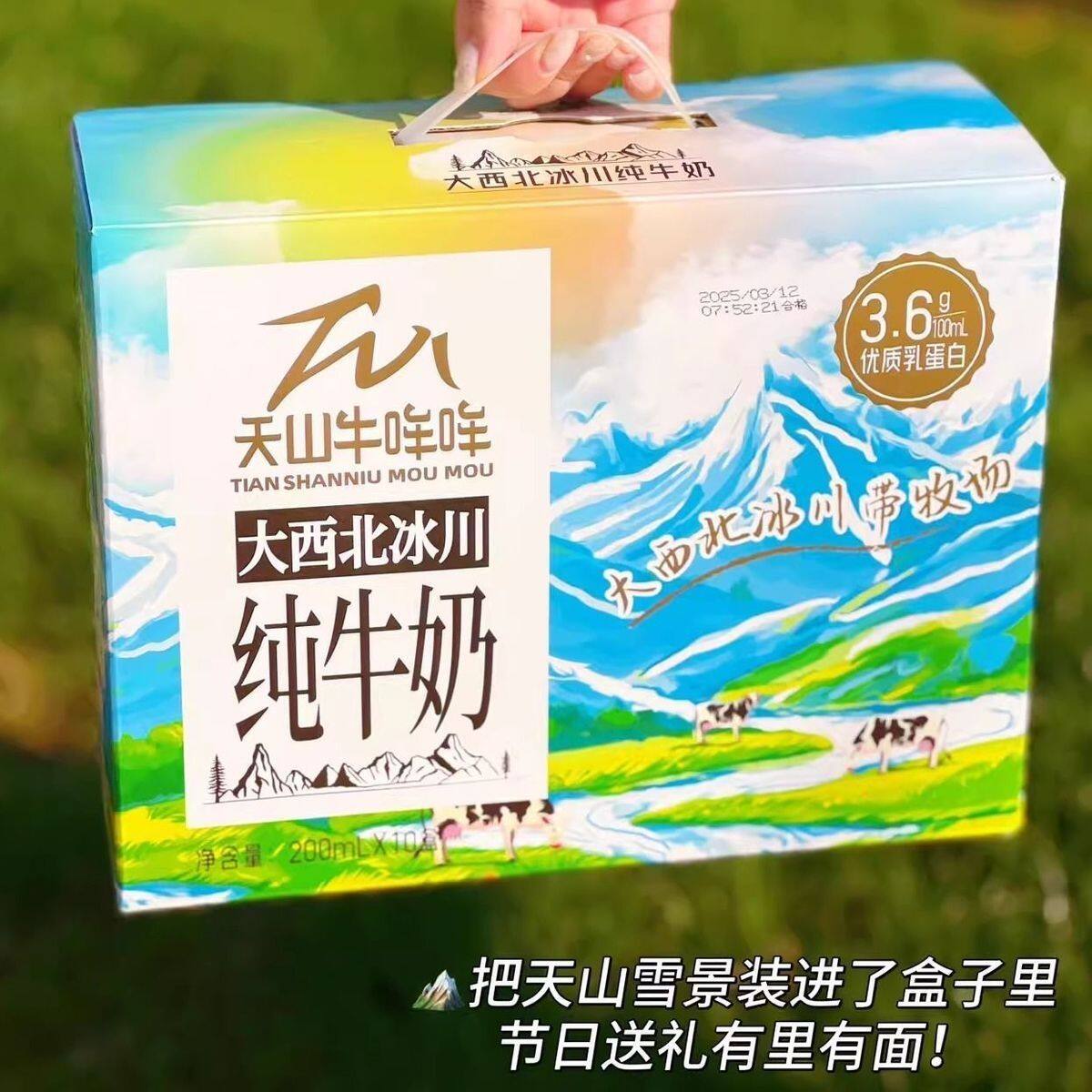 天山牛哞哞大西北冰川纯牛奶蛋白营养早餐纯牛奶200ml*10盒