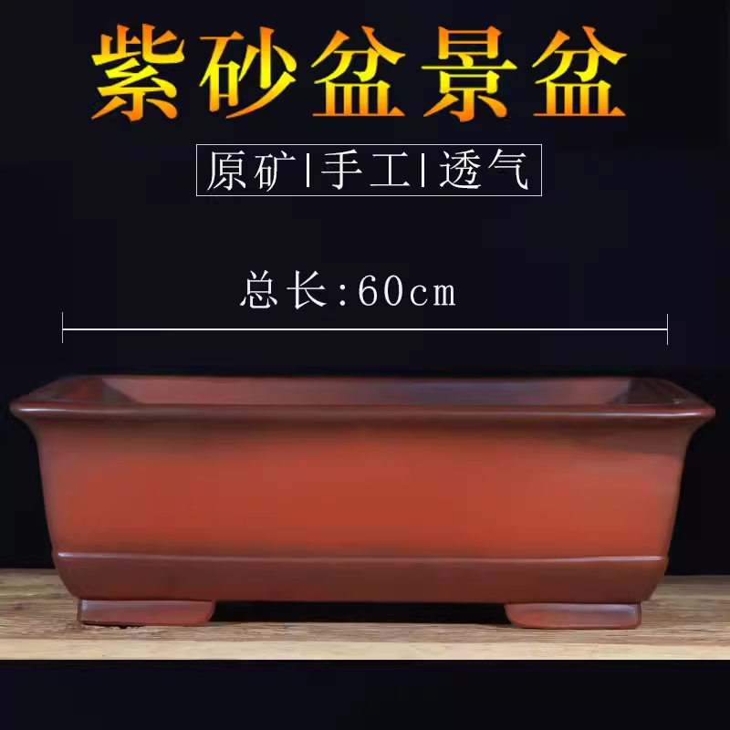 长方形特大口径60紫砂盆景榕树