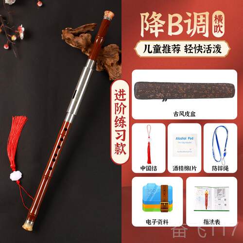 正品巴乌乐器小学生专用C调降B巴调调GF调树脂竖横吹专吹业演奏七