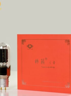 林籁之音E211电子管直代贵族A211/WE211/KR211/211T/211DG电子管