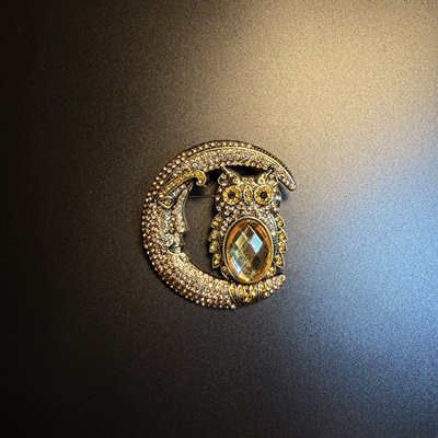 开花的橄榄 Vintage古着 Nocturne Owl镶钻月亮猫头鹰胸针