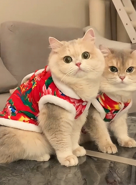猫咪衣服冬季东北大花袄英短银渐层幼猫狗狗博美泰迪保暖新年唐装