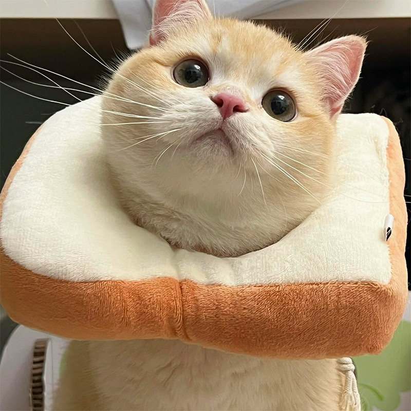 猫咪项圈防舔吐司面包片