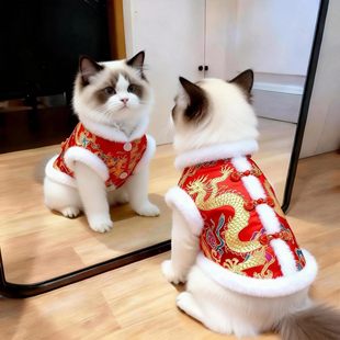猫咪过年衣服喜庆龙袍布偶金渐层防掉毛保暖棉衣狗狗新年拜年冬季