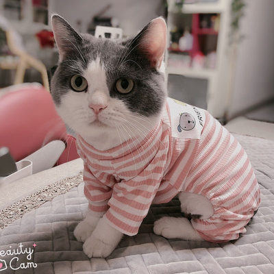 猫咪衣服秋冬泰迪比熊宠物服饰