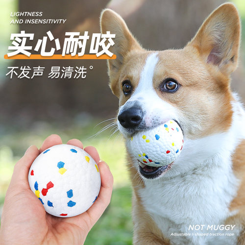 狗狗玩具爆爆球耐咬磨牙弹力球