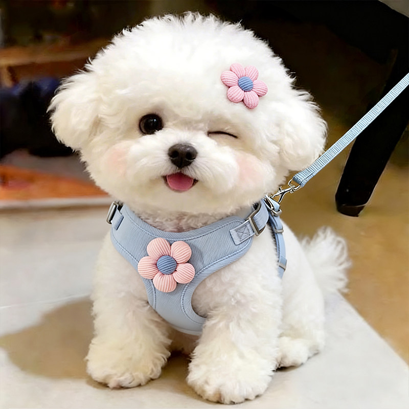 小型犬背心式胸背牵引绳