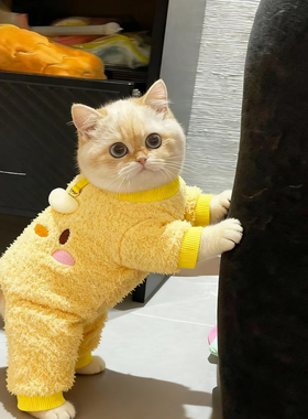 猫咪衣服秋冬款可爱布偶英短蓝猫防掉毛保暖小狗冬季四脚衣可牵引