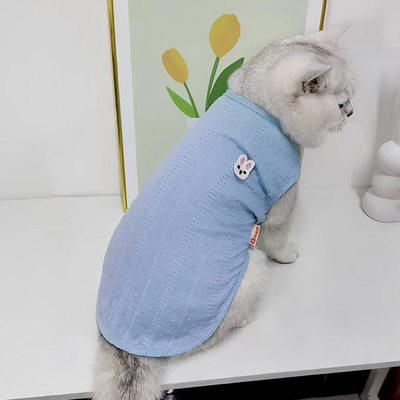 猫咪衣服薄款幼犬防掉毛可爱透气