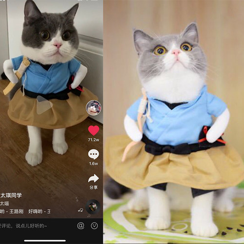 搞怪喵咪抖音同款可爱服饰