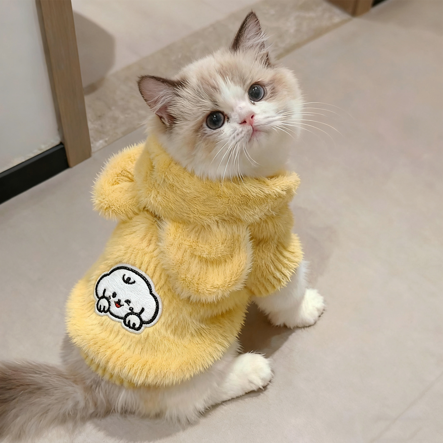 小猫咪衣服秋冬装加绒保暖连帽卫衣银渐层布偶小型犬比熊加厚棉衣