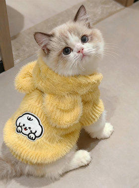 小猫咪衣服秋冬装加绒保暖连帽卫衣银渐层布偶小型犬比熊加厚棉衣
