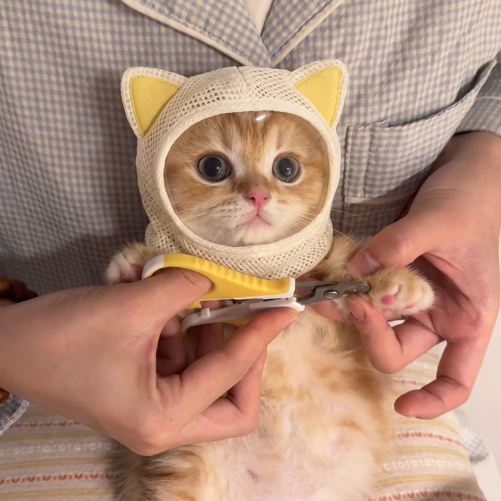 猫咪头套宠物嘴套剪指甲洗澡防抓咬防舔透明面罩透气可调节防护罩