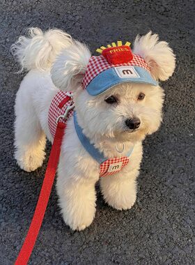 小型犬泰迪比熊透气可调胸背牵引