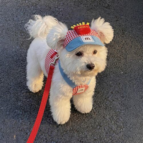 小型犬泰迪比熊透气可调胸背牵引