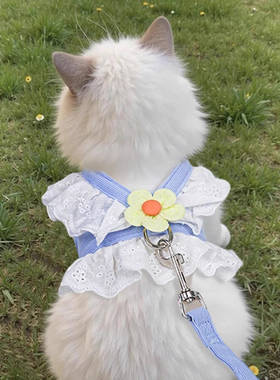 猫咪牵引绳胸背带JK公主裙子可调节防挣脱宠物狗狗牵引绳外出专用