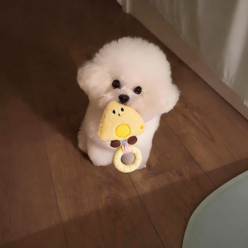 阿莫尔狗狗耐咬磨牙洁齿发声玩具