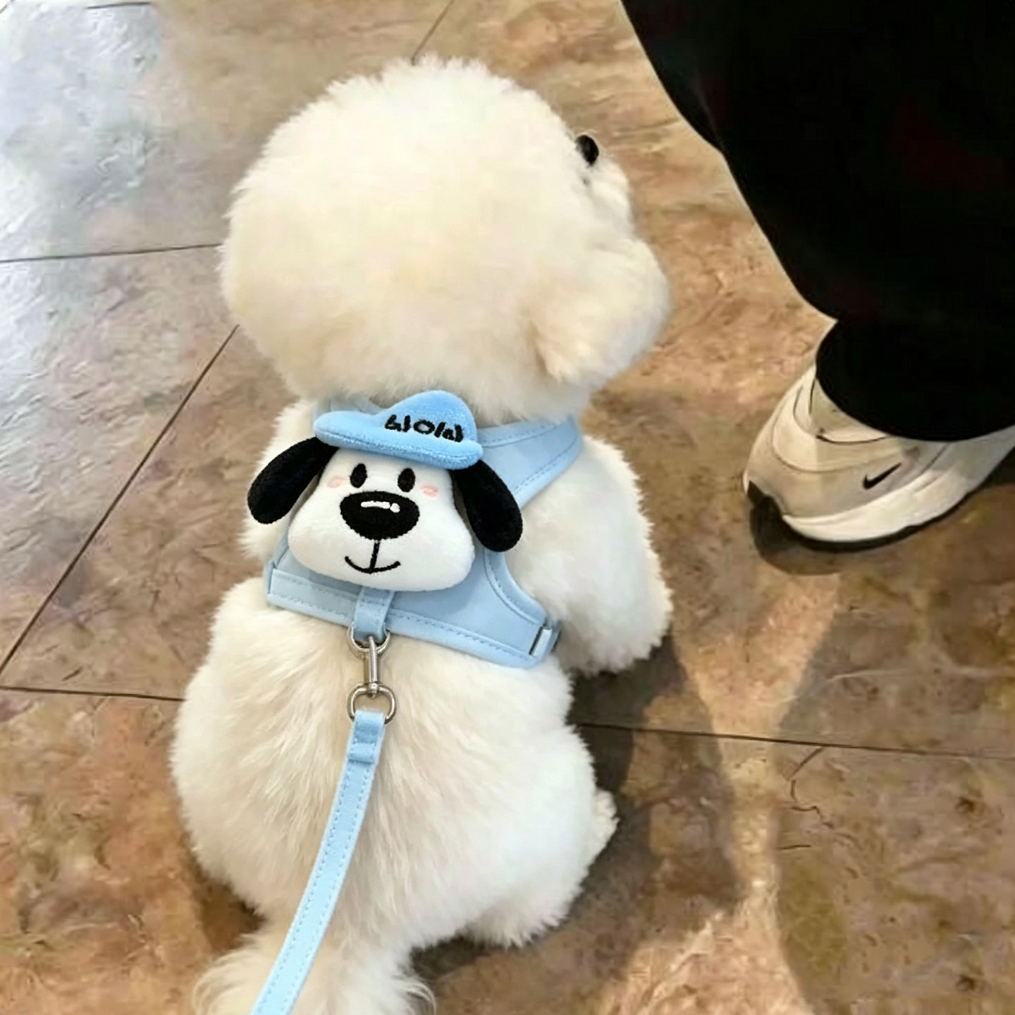 不勒脖背心式卡通狗牵引绳