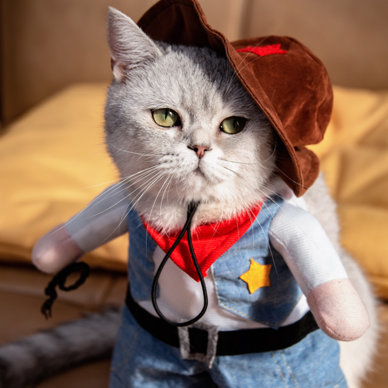 西部牛仔猫咪衣服狗狗抖音同款宠物服饰幼猫搞笑搞怪变身装直立装