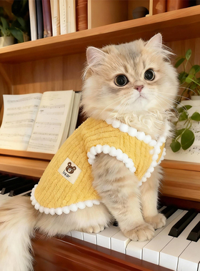 小猫咪衣服冬季加厚马甲英短银渐层无毛猫小狗狗保暖加绒背心可爱