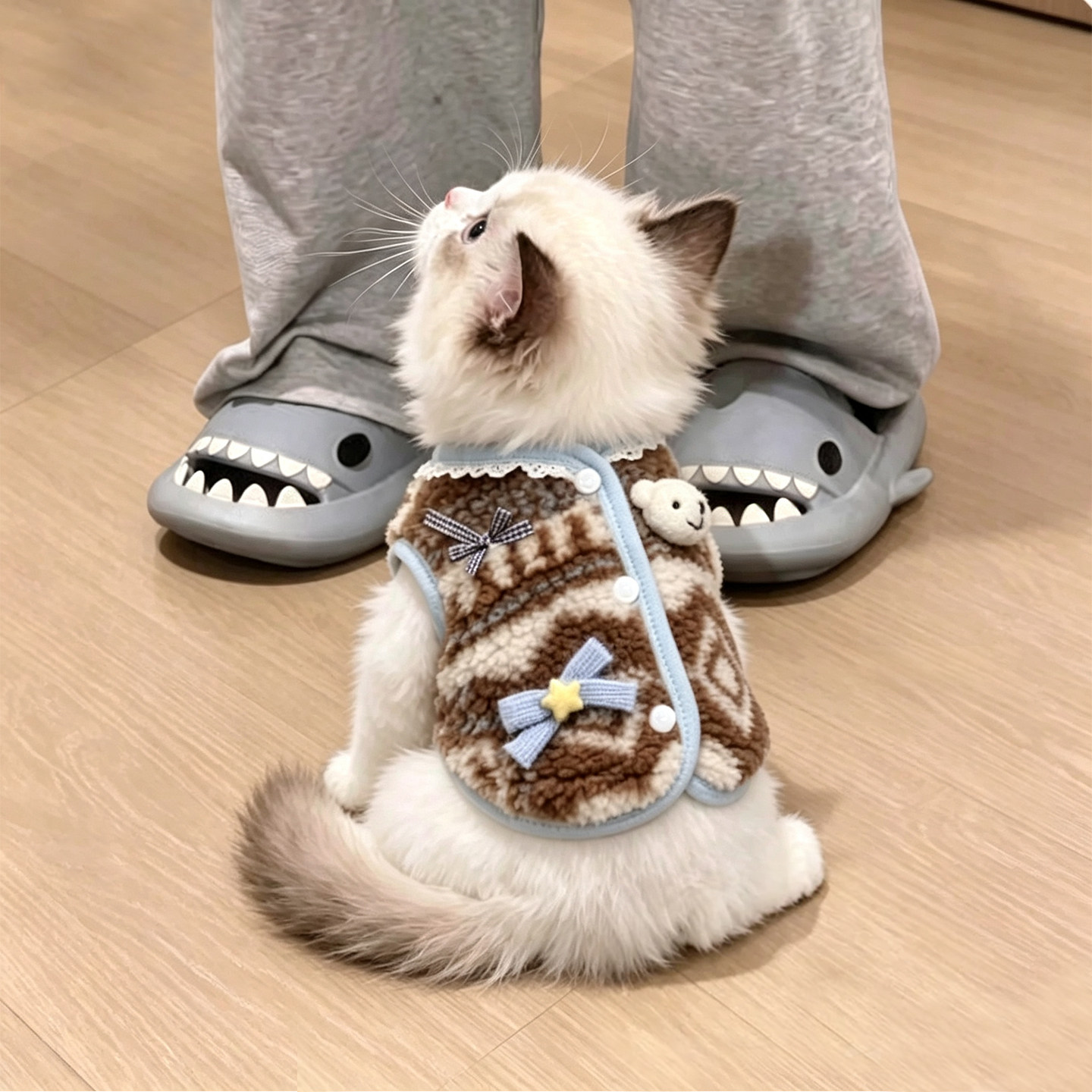 小猫咪衣服秋冬季加厚保暖背心布偶银渐层幼猫可爱羊羔毛马甲冬季